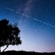 tree silhouette against the night sky full of stars - starlink installation - Fireline Broadband