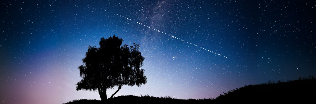 tree silhouette against the night sky full of stars - starlink installation - Fireline Broadband